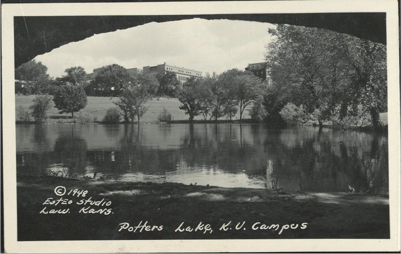 Potter Lake Clio